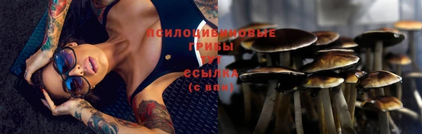 MDMA Бородино