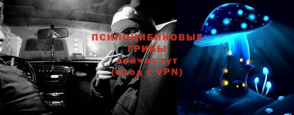 дурь Бронницы