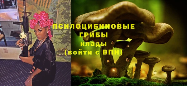 MDMA Бородино
