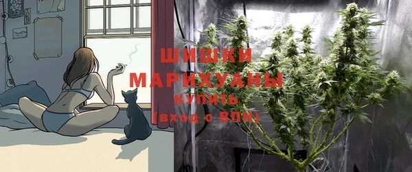 дурь Бронницы