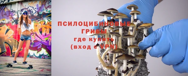 дурь Бронницы