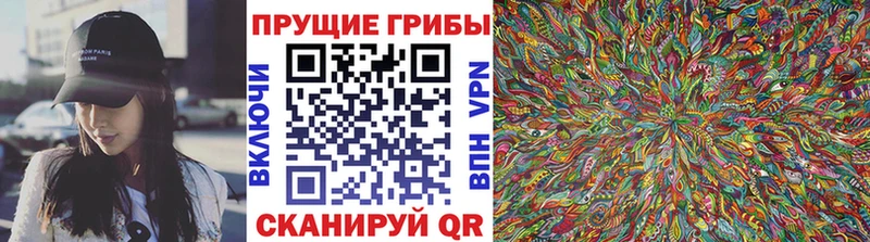 Галлюциногенные грибы MAGIC MUSHROOMS  MEGA рабочий сайт  Ростов-на-Дону 